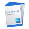 Windows 11 Professional - 5 Keys