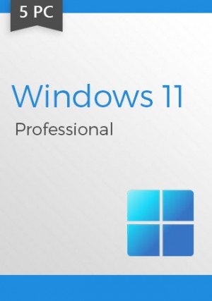 Windows 11 Professional CD-KEY  (5 PCs)