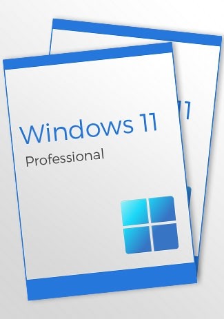 Windows 11 Professional - 2 keys