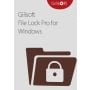 Gilisoft File Lock Pro  - 1 PC(Lifetime)