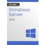 Microsoft Windows Server 2022 Remote Desktop - 50 User CALs