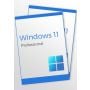 Windows 11 Professional (2 keys)