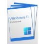 Windows 11 Professional (3 keys)