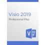 Microsoft Visio Professional 2019 (1PC)