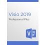 MS Visio Professional 2019 - 1 PC