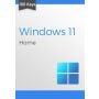 Microsoft Windows 11 Home (100 keys)